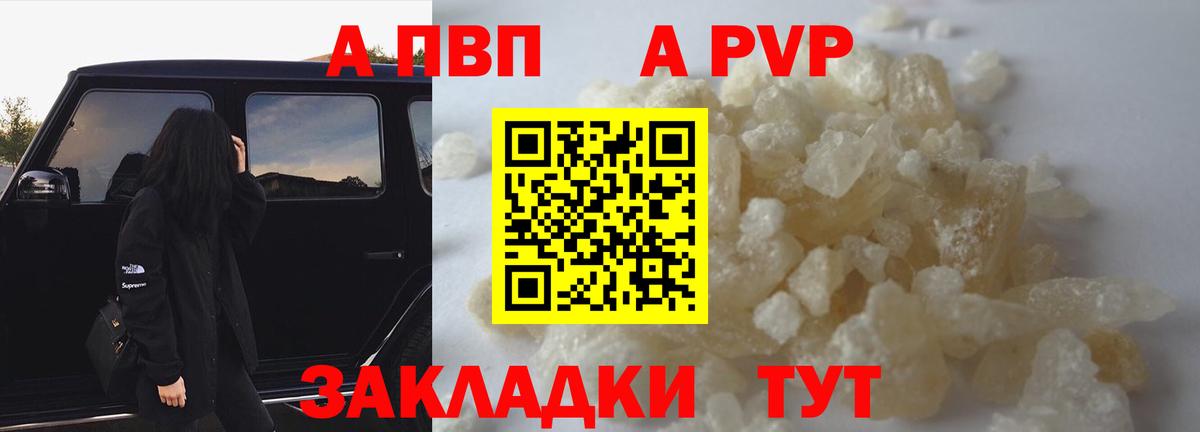 Альфа ПВП СК Гурьевск