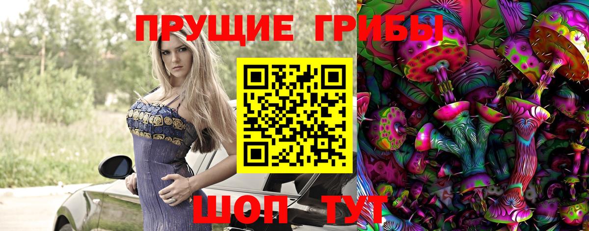 Галлюциногенные грибы мухоморы  купить наркоту  Гурьевск  Вход с VPN 