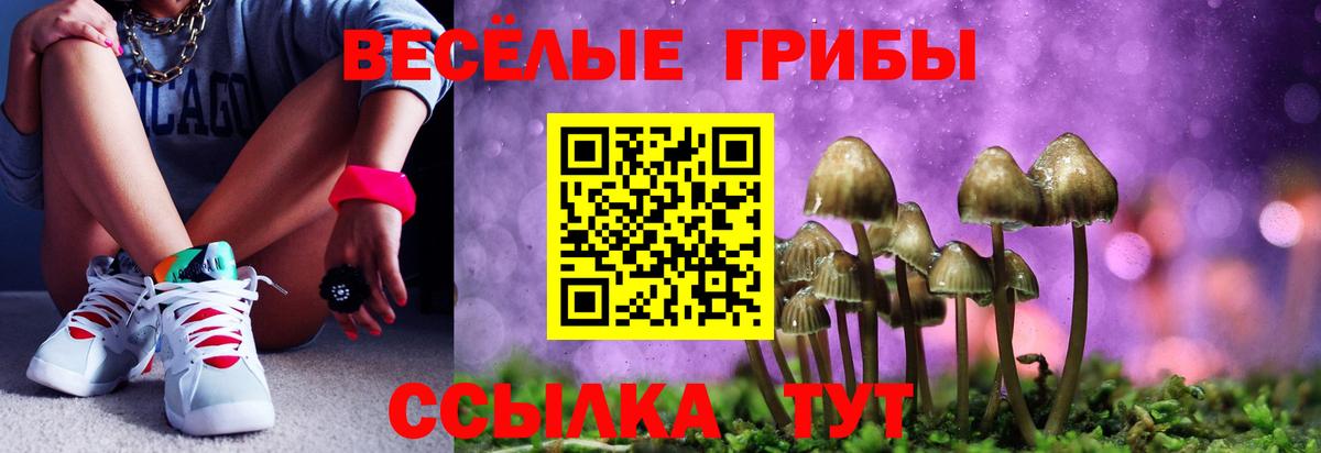 Галлюциногенные грибы Cubensis Гурьевск